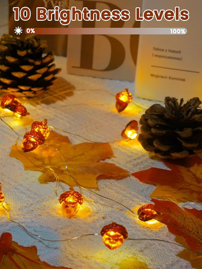 BOSSERN 2 Pack 60LED Thanksgiving Decoration Acorn String Light Battery Operated, 20FT Fall Lights with Remote, Waterproof 8 Modes Fairy Lights for Autumn Harvest Thanksgiving Halloween Decor