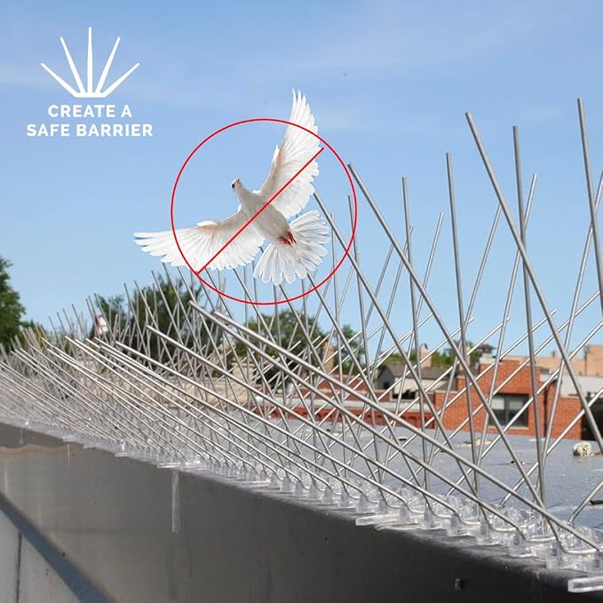 Bird-X Stainless Steel Bird Spikes, 6-inch Regular Wide Spikes, Bird Spikes for Pigeons and Other Small Birds, Easy to Install, Contains 2 ft. Strips, Covers 50 Linear Feet Area