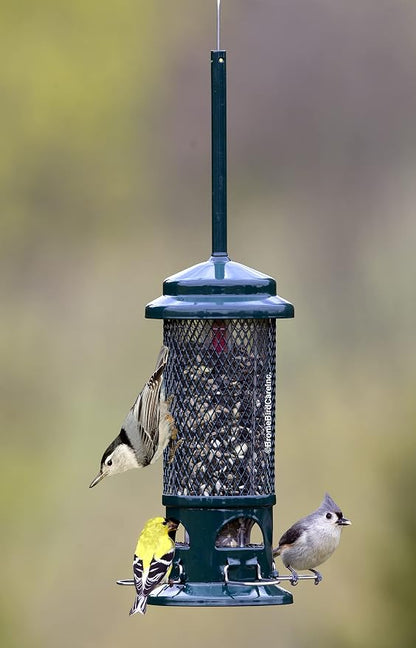 Squirrel Buster Standard Squirrel-proof Bird Feeder w/4 Metal Perches, 1.3-pound Seed Capacity, garden green | 1.3 Lb Capacity, 4 Metal Perches, Weight-Adjustable Closing, Chew-Proof, Uv-Resistant, Easy-Clean Design