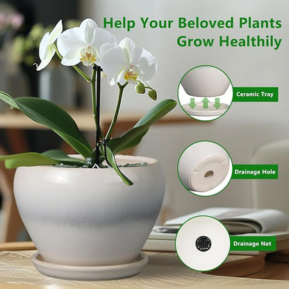 Ceramicfor 10 Inch Ceramic Planter Pot - Large Plant Pot with Drainage Hole and Saucer Round Flower Pot for Indoor Plants, White