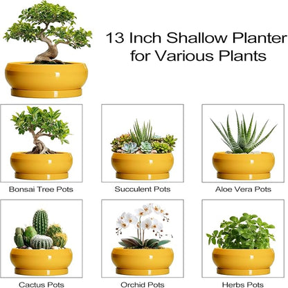 Ceramic Bonsai Pots - 13 Inch Large Succulent Pots with Drainage Hole and Saucer, Bonsai Planter for Indoor Outdoor, Round Shallow Bowl Planter, Garden House Decor, Plant Lover Gifts, Yellow