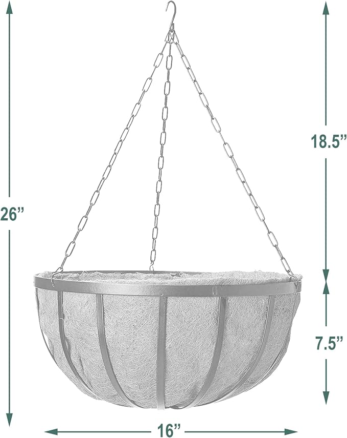 Arcadia Garden Products 1592 Solstice Series Coconut Hanging Basket 16-Inch