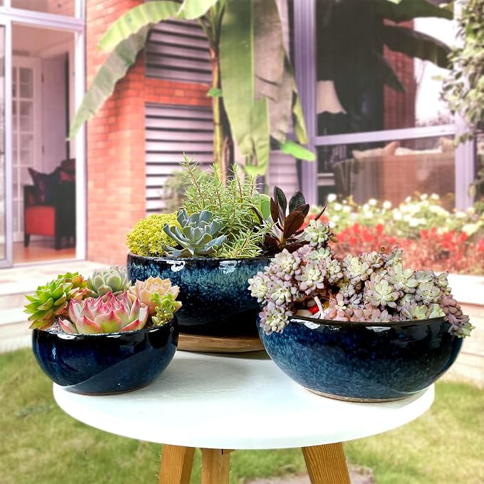 7 Inch Glazed Terracotta Plant Pot Round Ceramic Succulent Planter Pot with Drainage and Mesh Pad Cactus Clay Bonsai Pot (Blue)