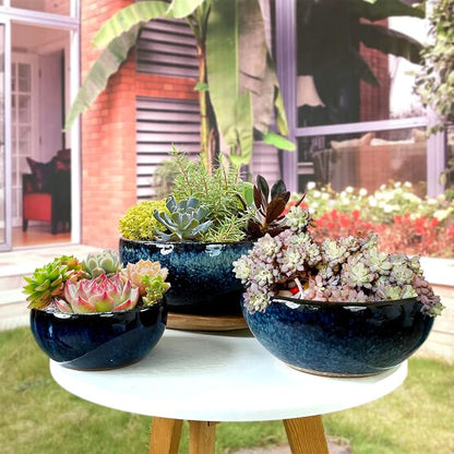 9 Inch Glazed Terracotta Plant Pot Round Ceramic Succulent Planter Pot with Drainage and Mesh Pad Cactus Clay Bonsai Pot (Blue)