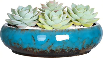Succulent Pots, 10 Inch, Shallow Planter with Drainage for Succulent Planters, Bonsai Pots & Cactus Pots, Plant Pots, Ceramic Planters for Indoor Plants - Perfect for Home Offie Garden Decor, Blue