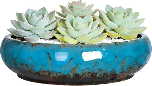 Succulent Pots, 10 Inch, Shallow Planter with Drainage for Succulent Planters, Bonsai Pots & Cactus Pots, Plant Pots, Ceramic Planters for Indoor Plants - Perfect for Home Offie Garden Decor, Blue