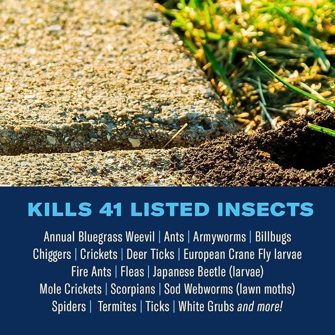 BioAdvanced Complete Brand Insect Killer Granules - Kills Insects Above and Below Ground - Outdoor Insecticide - Up to 3 Months Protection - 10 lb Bag