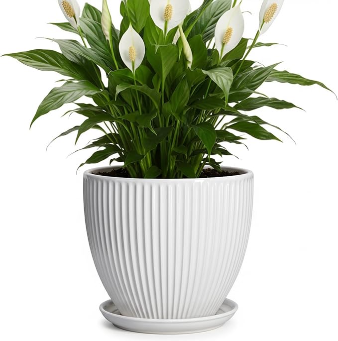8 Inch Plant Pot, Ceramic Planters for Indoor Plants, Round Pots for Plants with Drainage Hole and Saucer, Modern Decorative Flower Pots, Office Bedroom Decor, Gifts for Plant Lovers, White