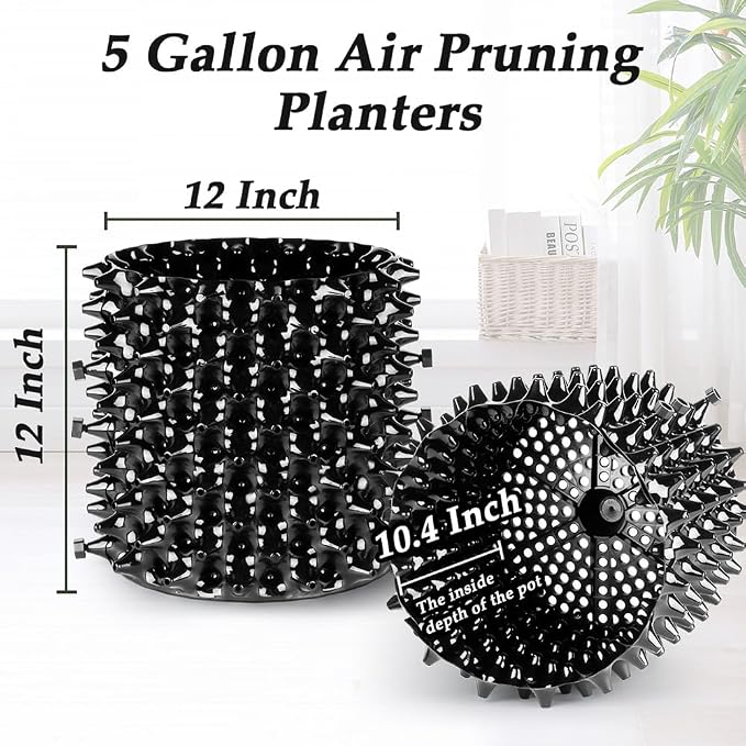 RooTrimmer Air Pruning Planters 5 Gallon 6-Pack, Sturdy Plastic Roots Control Planter Container for Fruit Vegetable Garden Orchard, Size 12"x12",Black
