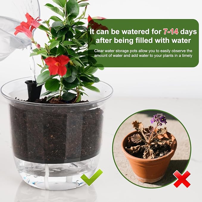 Self Watering Pots Set, 5 Pack 5 Inch Self Watering Pots for Indoor Plants, Clear Planter Pot with Deep Reservoir for Spider Plant, Orchid, African Violet (5Pcs Large)