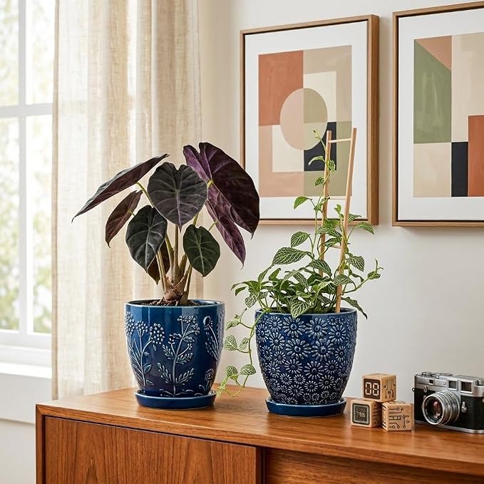 Hollyone Set of 3 Blue Ceramic Planter 6 Inch Flower Plant Pot with Drainage Hole and Saucer for Plants Embossed Indoor Outdoor Garden Embossed Ceramic Glazed Round Pot for Succulent Orchid