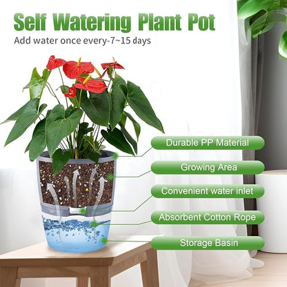 Oliz 6" Self Watering Pots for Indoor Plants, 6pk Grey w/Drainage Saucers | w/ 1 Free Spray Bottle, Plastic Planters for Arican Voilet, Flower Pots for All House Plants