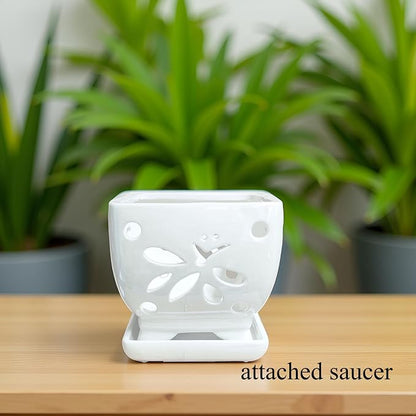 Orchid Pots with Holes Square Ceramic Orchid Planter Pots 5.5 inch (Cream)