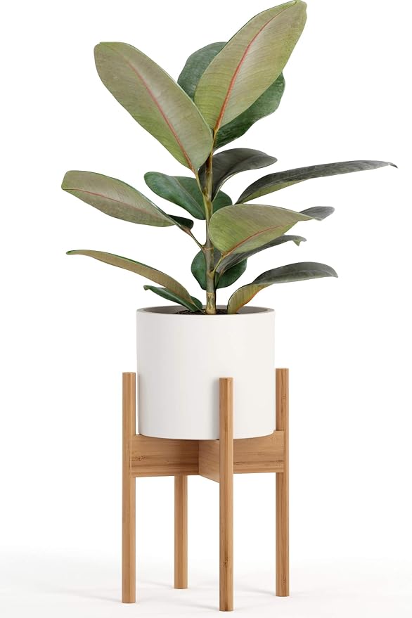 Fox & Fern Bamboo Plant Stand — 8 Inch Fixed Size Mid Century Plant Stand for Indoor Pots (Not Included); Raised Flower Pot Holder for Indoors; Plug In Design; Two Height Options - Bamboo