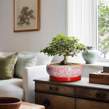 Bonsai Pots 10 Inch - Ceramic Succulent Planters for Indoor Plants Outdoor, Succulent Pots with Drainage Hole and Tray, Round Shallow Planter, Bonsai Planter, Home Decor, Gardening Gift, Red
