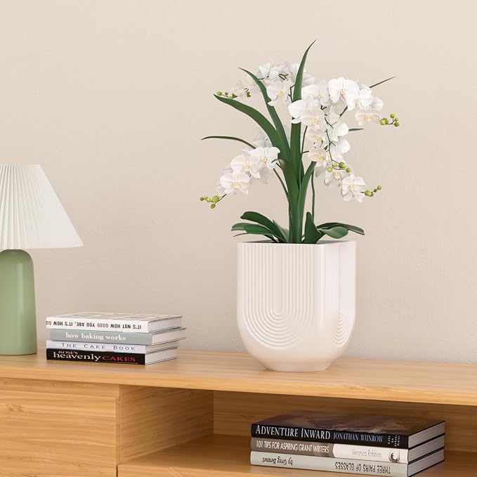 Ceramic Planter, 6 Inch Plant Pot with Drainage, Matte White | Indoor Outdoor Use, Flower Pot for Plants, Home Garden Decor, Lightweight Durable Ceramic