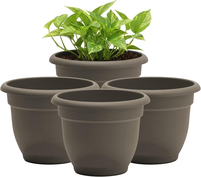 Bloem Ariana 6" Plastic Self-Watering Planter, Peppercorn, 4-Pack | Self-watering disk at the bottom of each pot that acts as a water wick and reservoir for optimal plant health