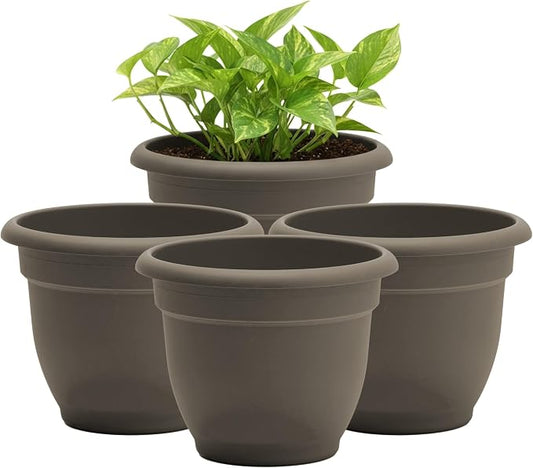 Bloem Ariana 8" Plastic Self-Watering Planter, Peppercorn, 4-Pack | Self-watering disk at the bottom of each pot that acts as a water wick and reservoir for optimal plant health