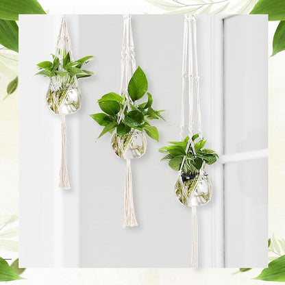 Colingmill 12 Pcs Plastic Plant Propagation with Boho Macrame Hanger Wall Plant Propagation Station Hanging Holder Include Hooks Kit for Indoor Home Garden Office Decor 3 Size (White)