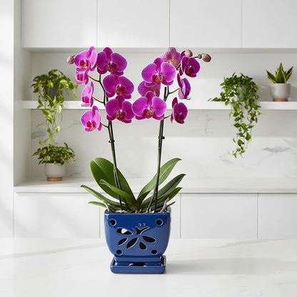 Orchid Pots with Holes Square Ceramic Orchid Planter Pots 5.7 inch (Blue)