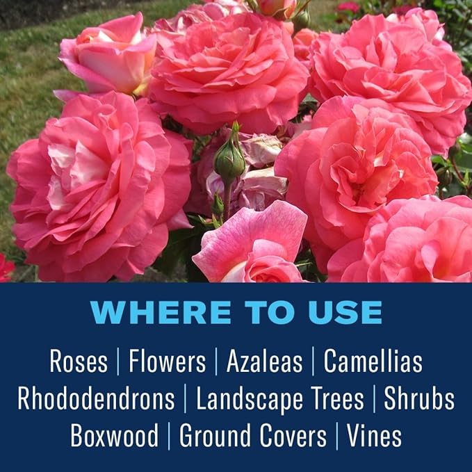 BioAdvanced Disease Control for Roses, Flowers & Shrubs Concentrate - 32 oz