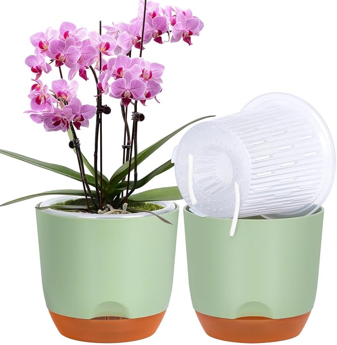 QCQHDU 7.2Inch Orchid Pots with Holes for Repotting, Double-Layer Plastic Self Watering Flower Pots for Indoor Plants with Drainage Holes, Clear Orchid Pot Match Decorative Orchid Container, 1 Pack