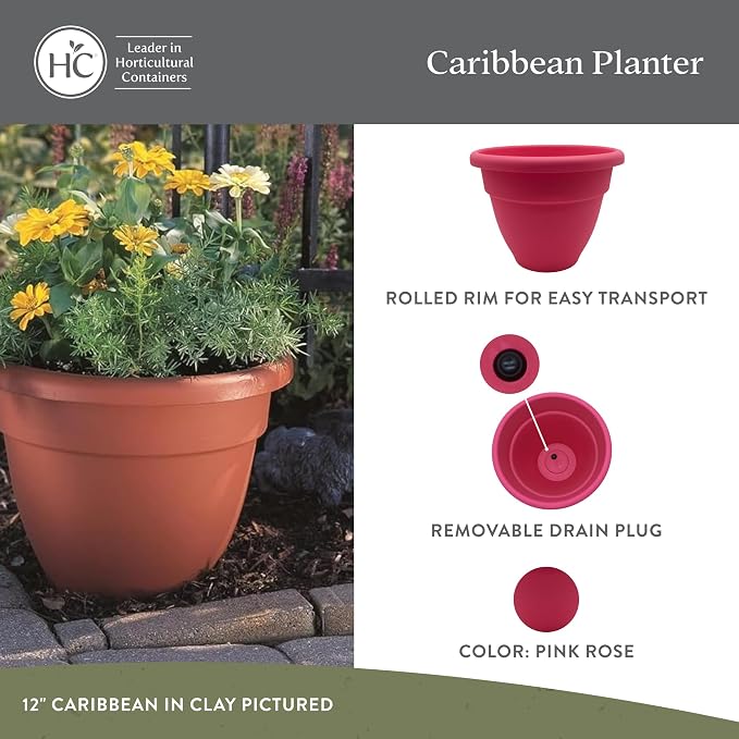 The HC Companies 6 Inch Caribbean Planter Pots with Drainage & Plug, Rolled Rim Plastic Planters for Indoor & Outdoor Plants, 4-Pack Decorative Flower Pots for Garden, Office & Home Decor, Pink Rose