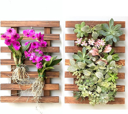 ShopLaLa Wall Planter (40cm, 2 Pack) Wooden Succulent Air Plant Wall Hanger | Orchid Planter Frame Display Outdoor Plants Wall Mount Holder Vertical Garden Plant Wall Decor Macetas para Orquideas