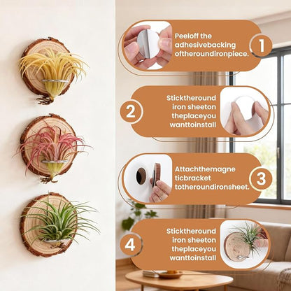 Magnetic Air Plant Holder, Natural Wood Slices Refrigerator Magnet Live Air Plant Holders, Modern Farmhouse Wall Decor for Living Room Bedroom Kitchen Office Home Garden (6 Pack)