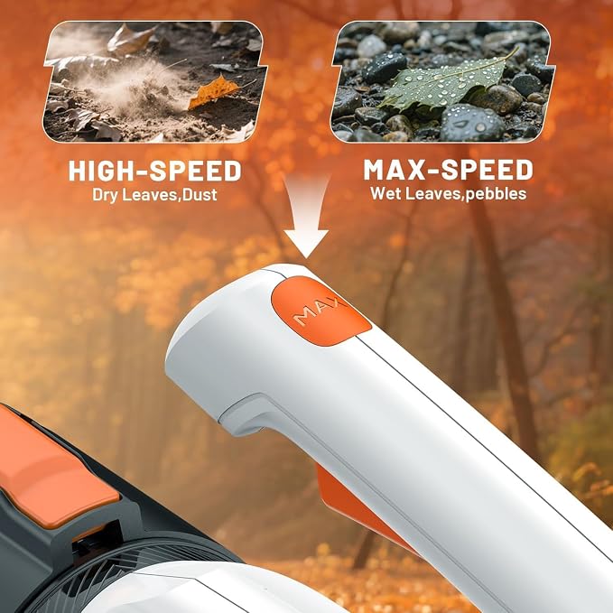 Litheli Cordless Leaf Blower with 2 Batteries, 2-Speed 350CFM for Dry Leaves, Dust & Car Drying