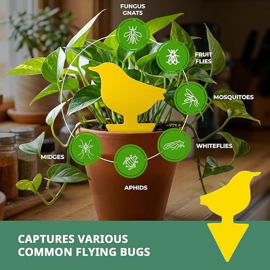 Kate's Home & Garden 96 Count Fruit Fly Traps for Indoors and House. Yellow Sticky Trap for Gnats, Mosquitos, Plants, Ants