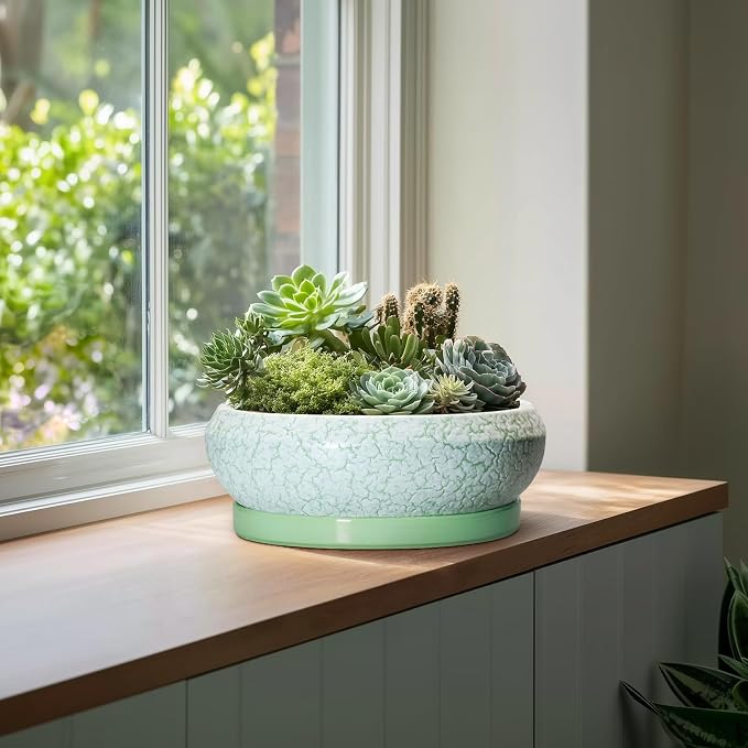 Bonsai Pots - 13 Inch Ceramic Succulent Pots for Indoor Outdoor, Large Shallow Planter with Drainage Hole and Saucer, Round Flower Succulent Planter, Patio Decor, Gifts for Women, Green