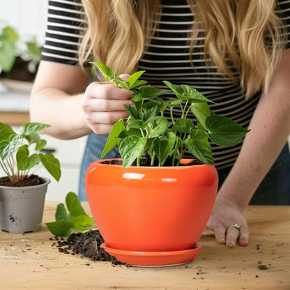 Ceramicfor Ceramic Plant Pot 6 Inch - Ceramic Planter for Indoor Plants Outdoor, Glaze Round Modern Flower Pot with Drainage Hole and Saucer, Gift for Plant Lover, Home Garden Room Decor, Orange