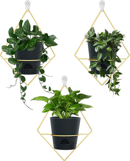Koalaime 3 Sets Wall Planters for Indoor Plants Geometric Hanging Planters for Indoor Plants - Self-Watering Flower Pots with Black Metal Holder, Mounted Succulent Planter, 5" Black Plant Pot