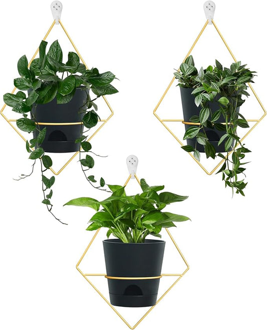 Koalaime 3 Sets Wall Planters for Indoor Plants Geometric Hanging Planters for Indoor Plants - Self-Watering Flower Pots with Black Metal Holder, Mounted Succulent Planter, 5" Black Plant Pot
