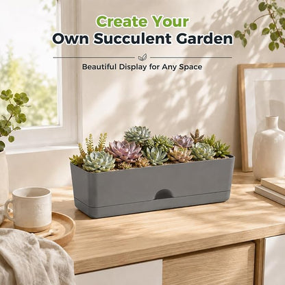 6 Pack Rectangle Planter 16x4.4 Inch Window Boxes Planters Rectangular Window Sill Planters Indoor Self Watering Plant Pots with Drainage Holes and Saucers Succulent Herb Flower Pots, Dark Grey