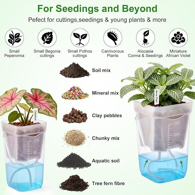 2” Clear Self Watering Pots for Indoor Plants, 8PCS Mini Plastic Nursery Planters with Water Level Indicator & Drainage Holes for Propagation,Succulents,Seedling,African Violet,Plant Labels