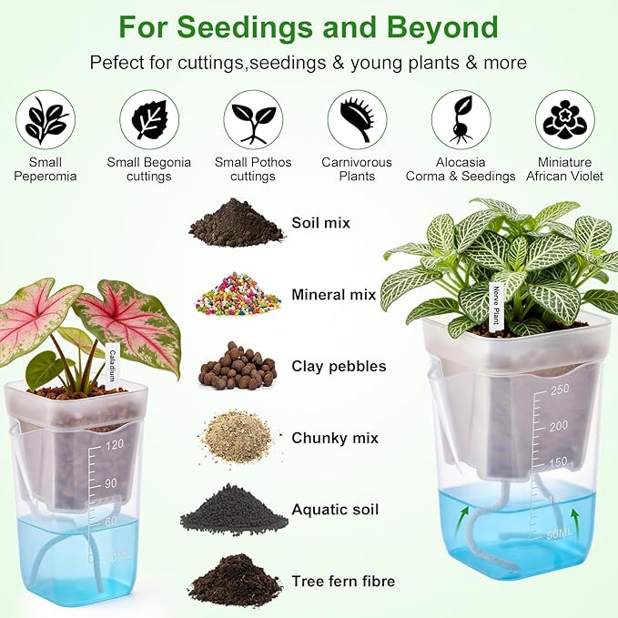 2" Clear Self Watering Pots for Indoor Plants,16PCS Mini Plastic Nursery Planters with Water Level Indicator & Drainage Holes for Propagation,Succulents,Seedling,African Violet,Plant Labels