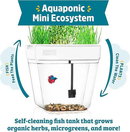 Back to the Roots Indoor Aquaponic Garden - 3 Gallon Self Watering, Mess-Free Planter and Self-Cleaning Fishtank for Herbs, Microgreens, Bamboo, Succulents, and Houseplants, support Fish