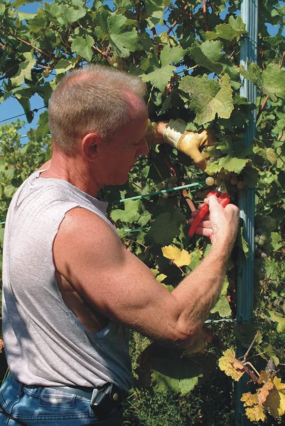 Felco Pruning Shears (F 6) and (F 310) - High Performance Swiss Made One-Hand Garden Pruners