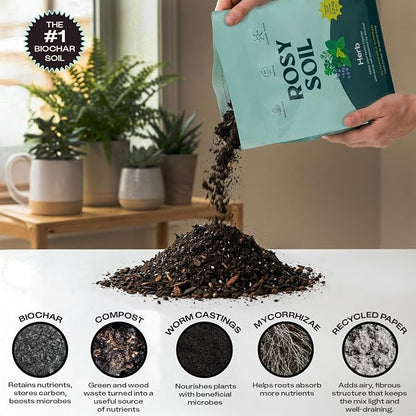 Rosy Soil Herb Mix, Organic Indoor and Outdoor Herb Potting Soil, 4 Quarts | Biochar, Worm Castings, Mycorrhizae Blend, Peat-Free, Fast Draining, for Basil, Cilantro, Lavender, Thyme, Mint, Rosemary