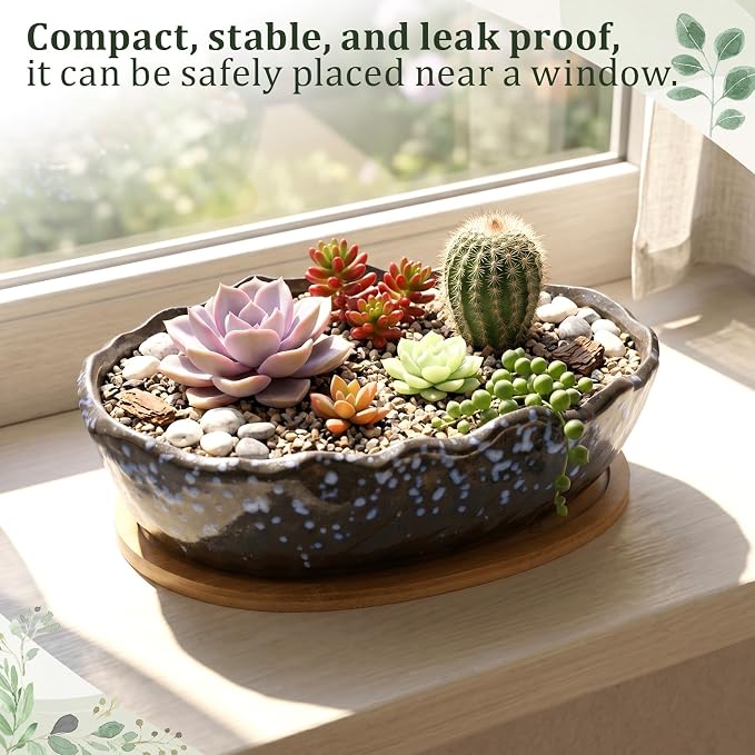 Succulent Pot 10 Inch Large Succulent Planters with Drainage Ceramic Bonsai Pot with Bamboo Tray Round Shallow Planter for Indoor Cactus Flower Planter Window Box for Home Garden Decor (Starry Blue)