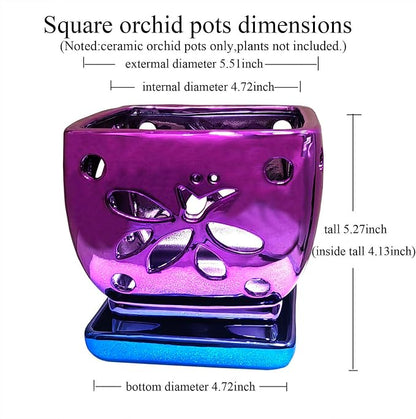 Orchid Pots with Holes Square Ceramic Orchid Planter Pots 5.5 inch (Purple)