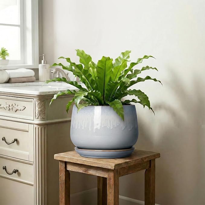 9 Inch Ceramic Pots for Plants - Indoor Plant Pots with Drainage and Saucer, Decorative Planters for Indoor Plants, Round Large Flower Pot, Rustic Home Decor, Housewarming Gifts, Grey-White