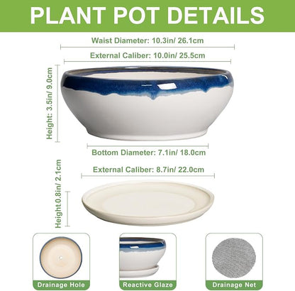 SQOWL Bonsai Pots - 10 Inch Ceramic Pots for Succulents Indoor, Shallow Planter with Drainage Hole and Saucer, Round Succulent Planters Bowl, Kitchen Decor, Housewarming Gifts, Blue Off-White