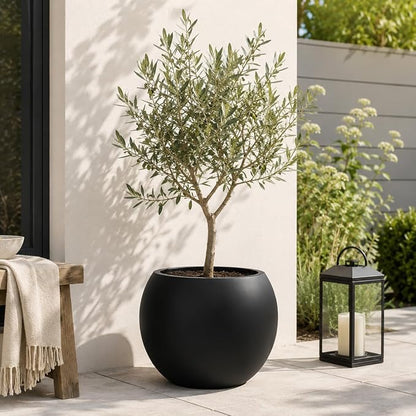 13.5 H x 17" Dia (12" Pot Opening) Black Round Fiberstone Planter with Drainage Hole, Indoor/Outdoor Large Plant Pot for Home Patio Garden, Ideal for Large Plants