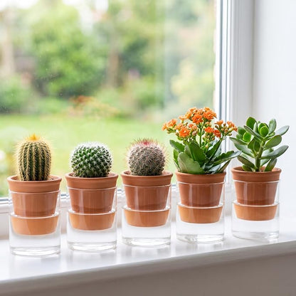 Baderke 2 Pcs 4 Inch Self Watering Pot for Indoor Plants Clear Glass Planter Small Plant Pot with Saucer Reservoir Drainage Holes Bottom Watering for African Violet Orchid Flowers (Terracotta Style)