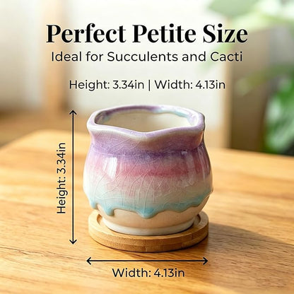 6 Pack Ceramic Succulent Planters, 3.54" W × 3.35" H Gradient Crackle Glaze Flower Pots for Succulents, Cacti, Small Plants, Creative Gardening Decorative Planter Containers