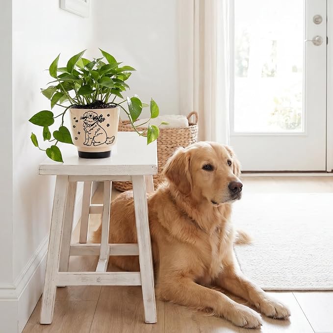 Ceramic Planter 5 Inch Plant Pots Indoor Succulent Plant Pot Cute Flowerpot | Unique Dog Pattern for Home, Garden, Patio and Office Decor