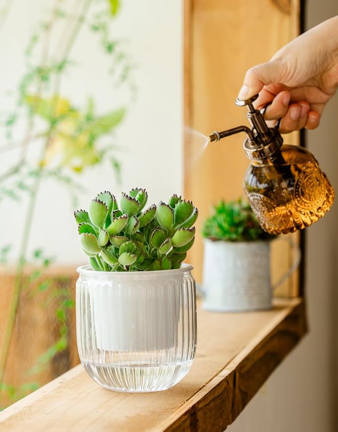Melphoe Self Watering Pots for Indoor Plants Planter, 4.3 Inch 2 Pack Planters Self Watering Plant Pots for Flower, Houseplants, Succulent, African Violets and Cactus with Drainage